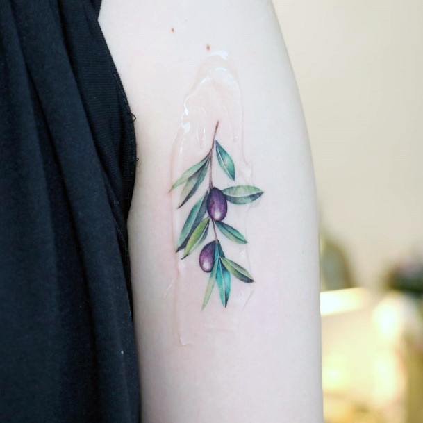 Stunning Girls Olive Tree Tattoos