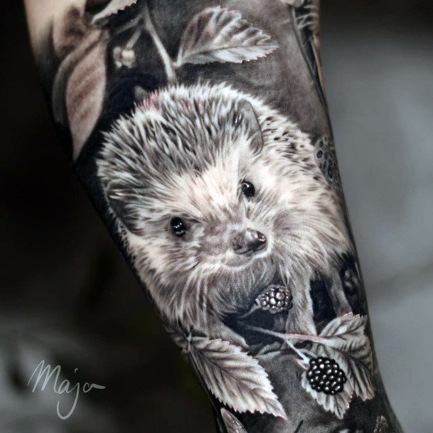 Stunning Hedgehog Tattoo On Lady