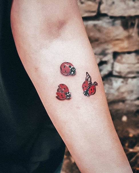 Stunning Ladybug Tattoo On Lady