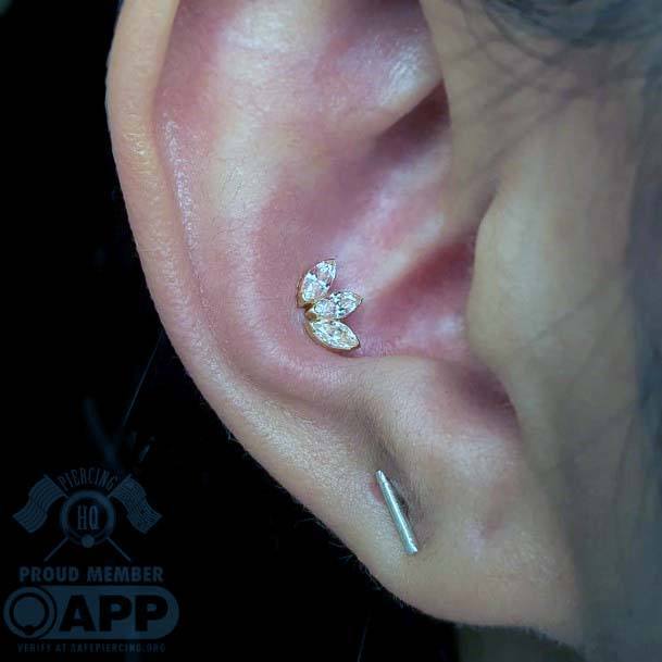 Stunning Unique Outter Conch Upper Lobe Verical Ear Piercing Design For Girls