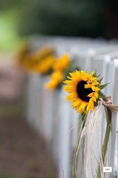 Sunflower Wedding Pew Chair Decoration Ideas For Outdoor Wedding