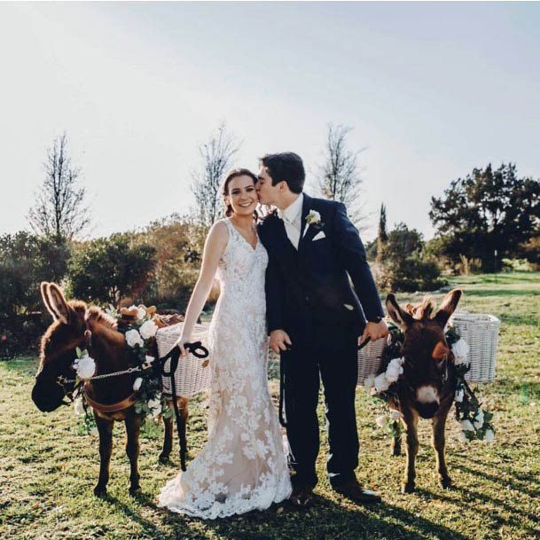 Sweet Wedding Inspiration Cute Donkeys Ideas