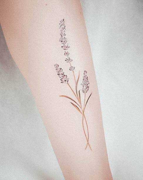 Tattoo Ideas Lavender Design For Girls