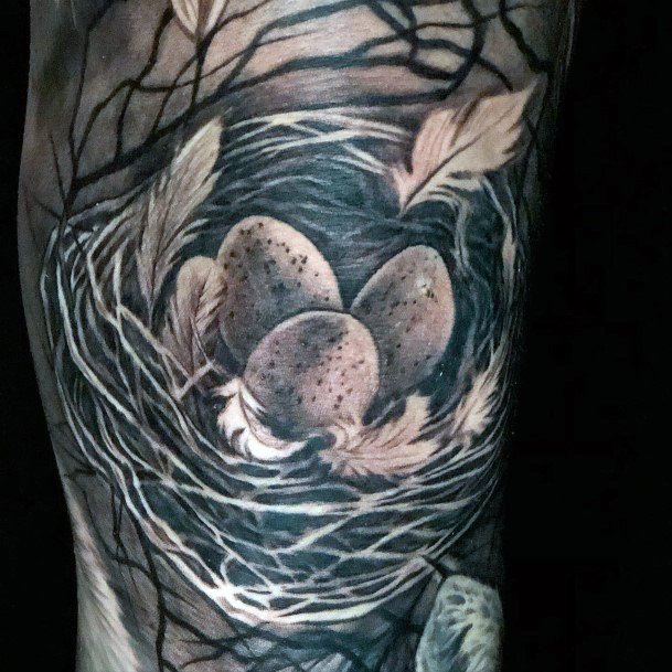 Tattoo Ideas Womens Birds Nest Design