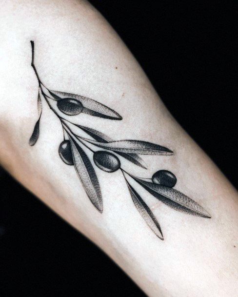 Tattoo Ideas Womens Olive Branch Design