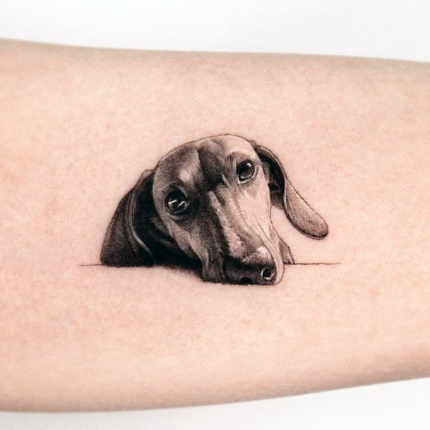 Tattoos Dachshund Tattoo Designs For Women