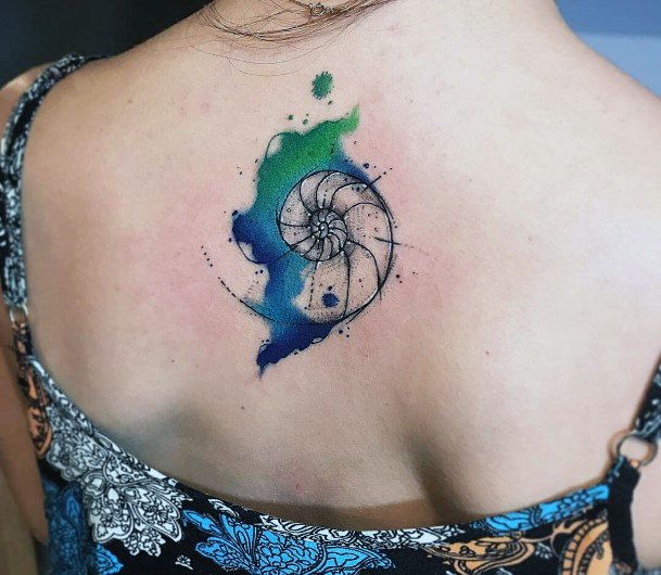 Tattoos Nautilus Tattoo Designs For Women