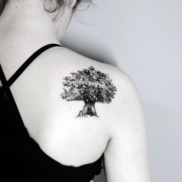 Tattoos Olive Tree Tattoo Designs For Women