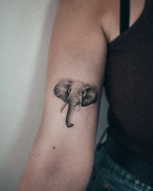 Tattoos Small Elephant Tattoo Designs For Women