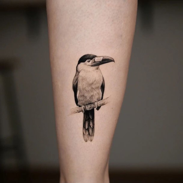 Tattoos Toucan Tattoo Designs For Women