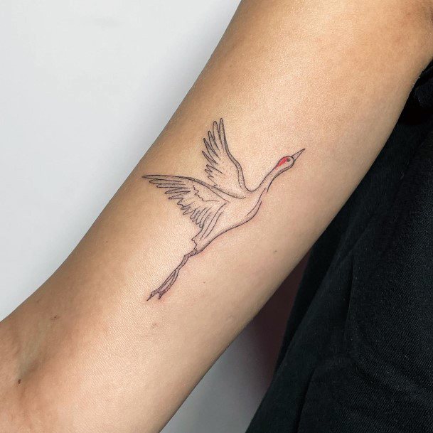 Terrific Design Ideas For Womens Crane Tattoo