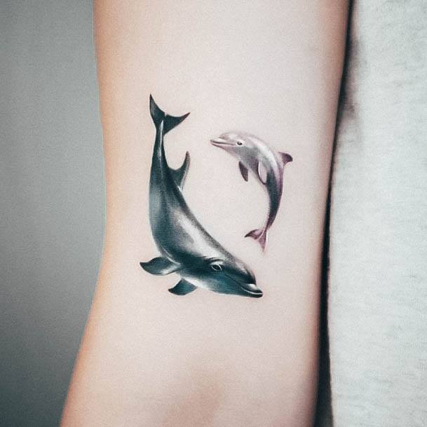 Terrific Design Ideas For Womens Dolphin Tattoo