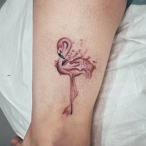 Terrific Design Ideas For Womens Flamingo Tattoo