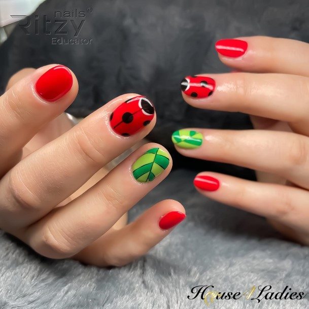 Terrific Design Ideas For Womens Ladybug Nail