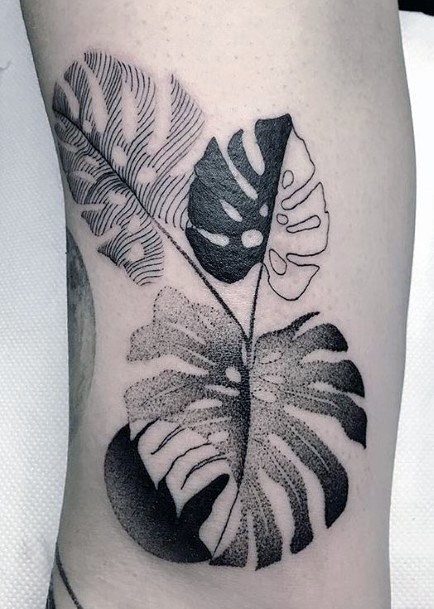 Terrific Design Ideas For Womens Monstera Tattoo