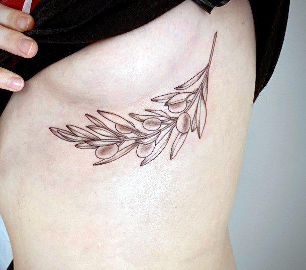 Terrific Design Ideas For Womens Olive Branch Tattoo