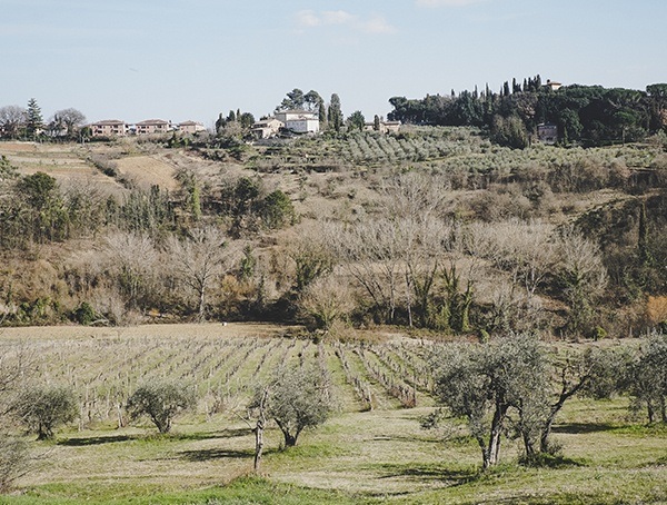 Traveling To La Lastra Siena Italy Wine