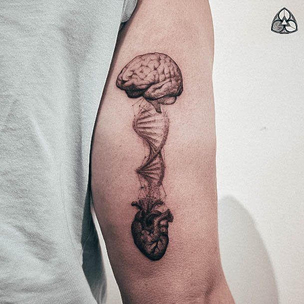 Tricep Heart Brain Dna Tattoo Design Inspiration For Women