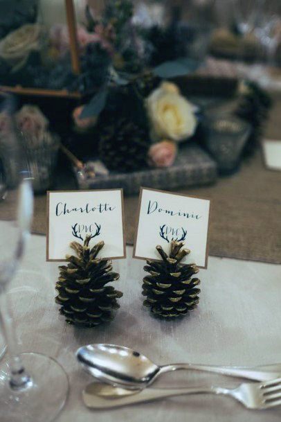 Unique Pinecone Name Tag Holder Table Decoration Ideas For Weddings