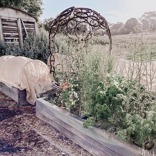 Unique Wood Raised Garden Bed Ideas Cedar