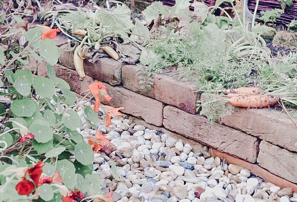 Using Brick For Garden Beds Raised