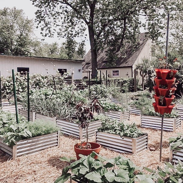 Using Galvanized For Garden Beds Raised