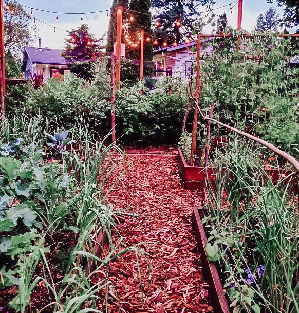Vegtable Growing Garden Boxes Best Ideas