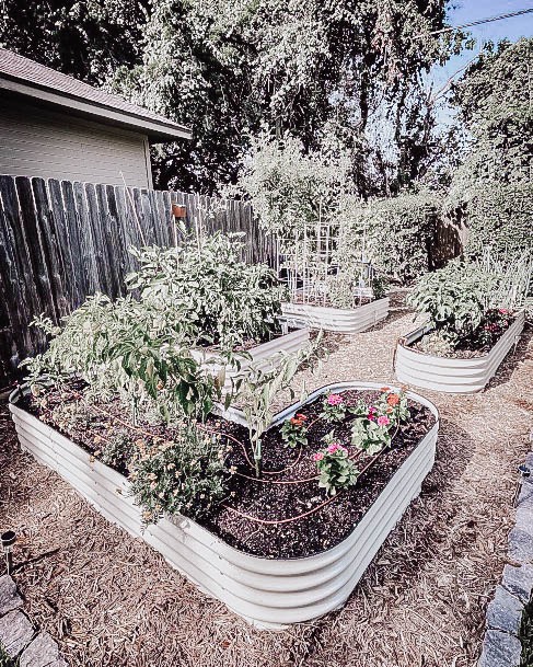 Vegtable Growing Garden Boxes Galvanized Ideas