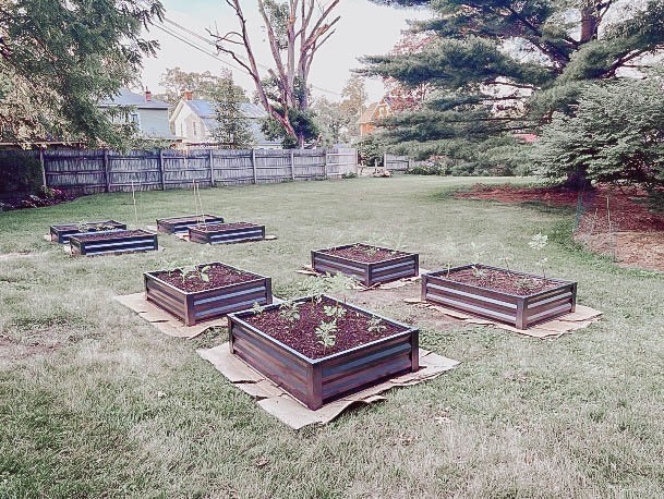 Vegtable Growing Garden Boxes Metal Ideas