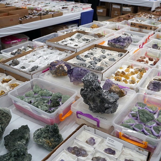 Vendor Table Denver Gem And Mineral Show