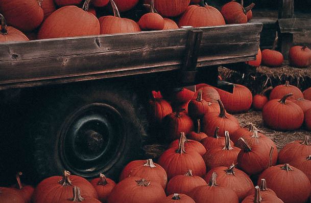 Visit A Pumpkin Patch Or Carve Them Day Date Ideas