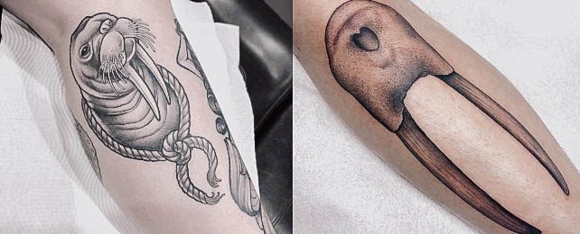 Top 100 Best Walrus Tattoos For Women – Sea Mammal Design Ideas