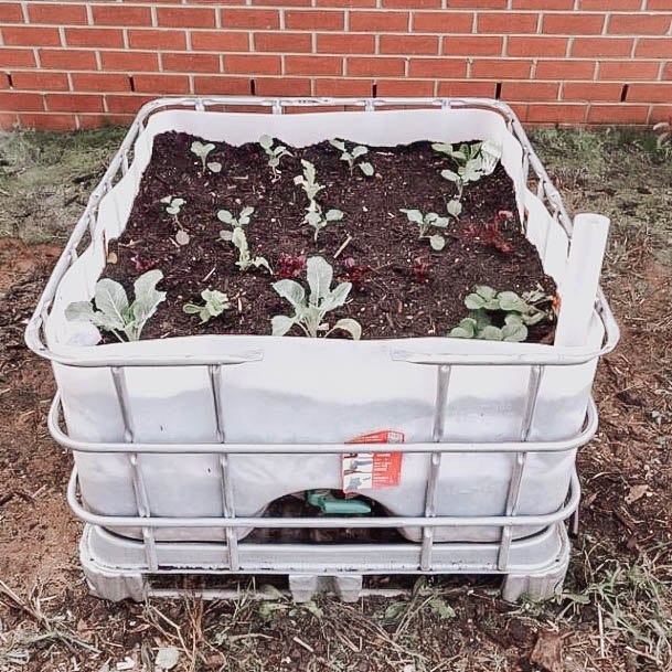 Water Tote Elevated Garden Beds Plastic