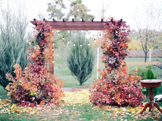 Wedding Arch Ideas Fall Colors Climbing Vine Outdoor Inspiration