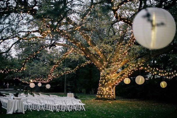 Wedding Lighted Tree Decor