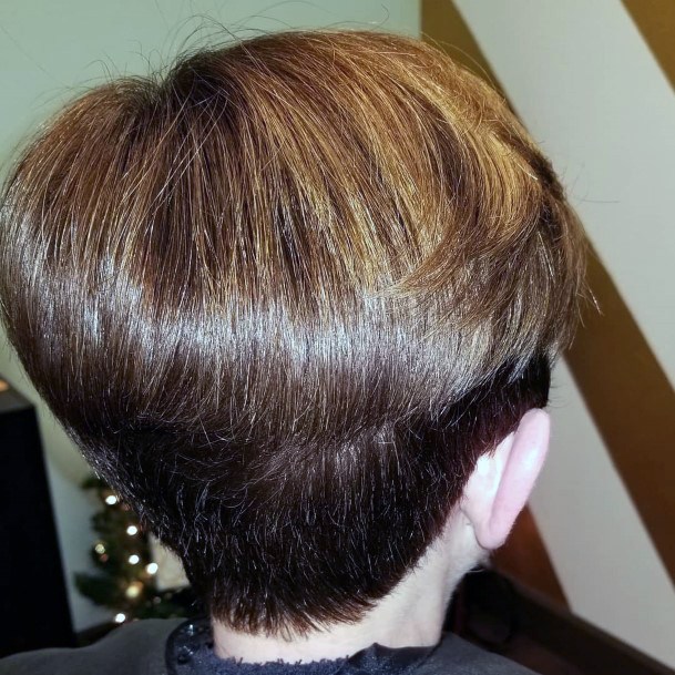 Wedge Cut Razor Back Medium Brown And Light Brown Highlights