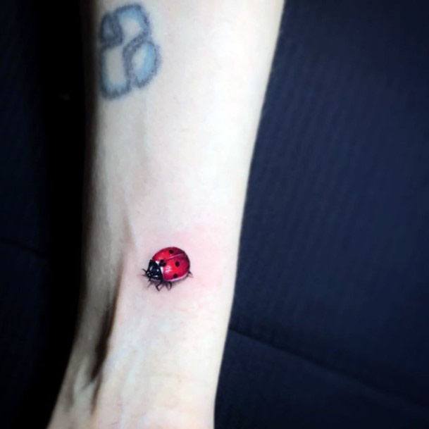 Womens 3D Tattoo Ladybug