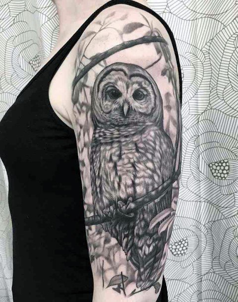 Womens Arms Healthy Owl Tattoo Art
