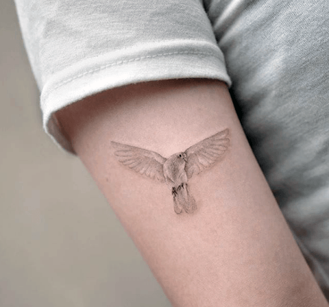 Womens Arms Pretty Dove Tattoo