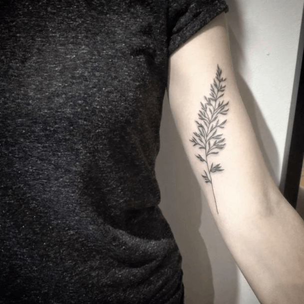 Womens Bicep Good Looking Tattoos