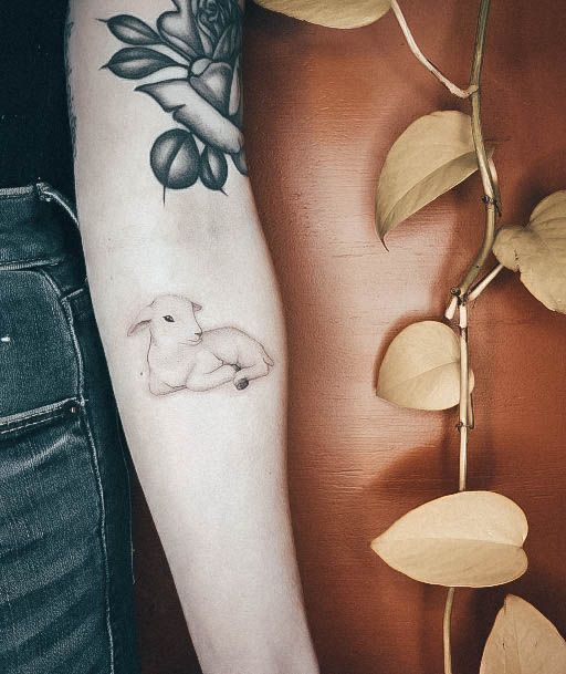 Womens Cool Sheep Tattoo Ideas