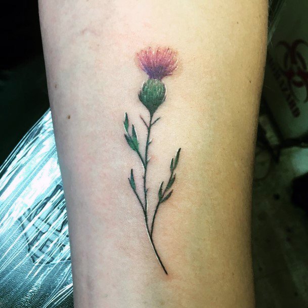 Womens Cool Thistle Tattoo Ideas