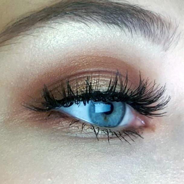 Womens Copper Natual Colored Eyeshadow