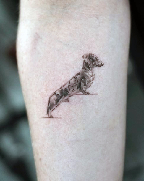 Womens Dachshund Tattoos