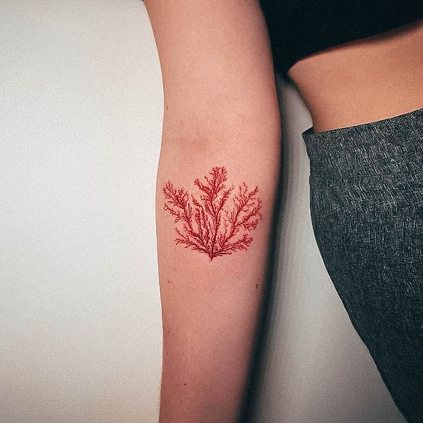 Womens Divine Coral Tattoo