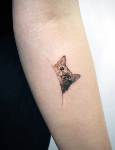 Womens Hands Brown Cat Tattoo