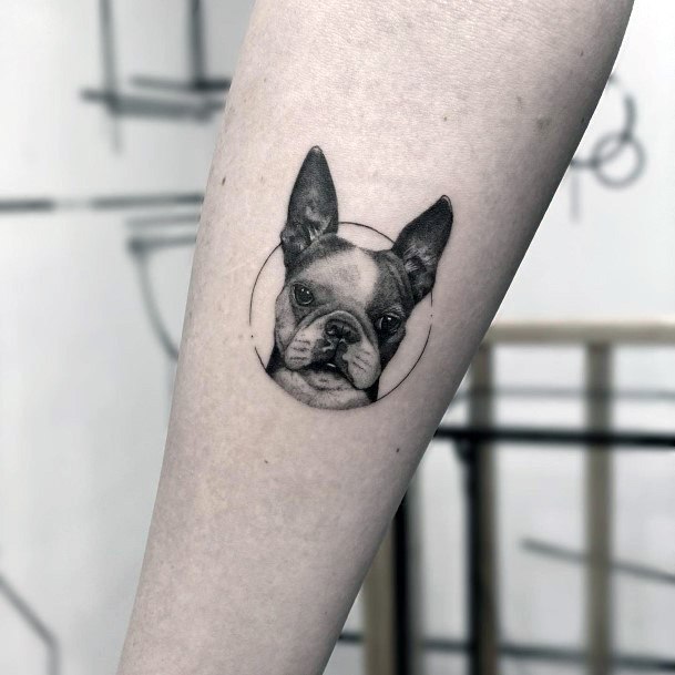 Womens Inside Forearm Long Eared Dog Tattoo