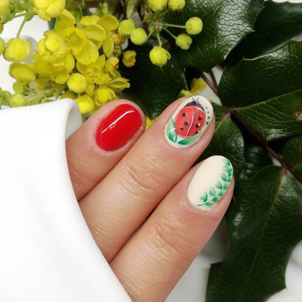 Womens Ladybug Nail Design Ideas