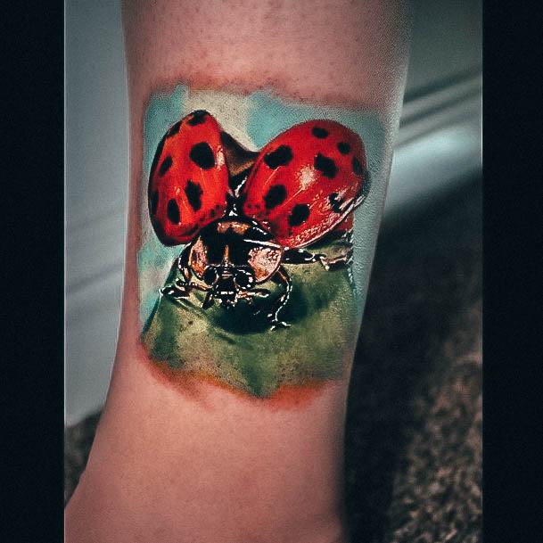 Womens Lovely Ladybug Tattoo Ideas