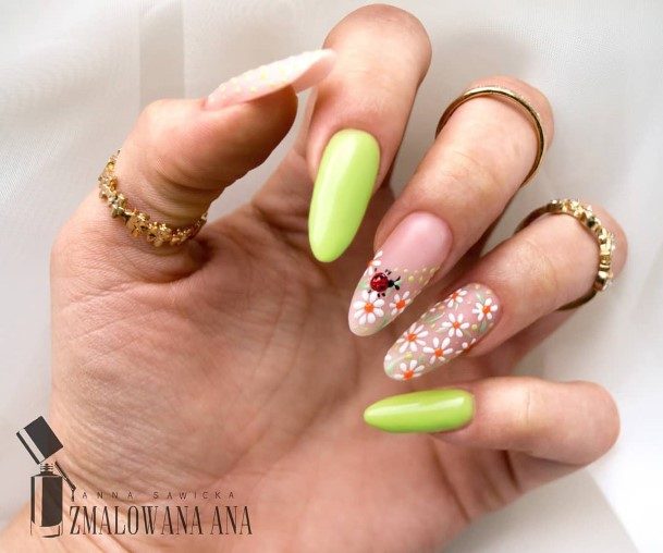 Womens Nail Ideas With Ladybug Design